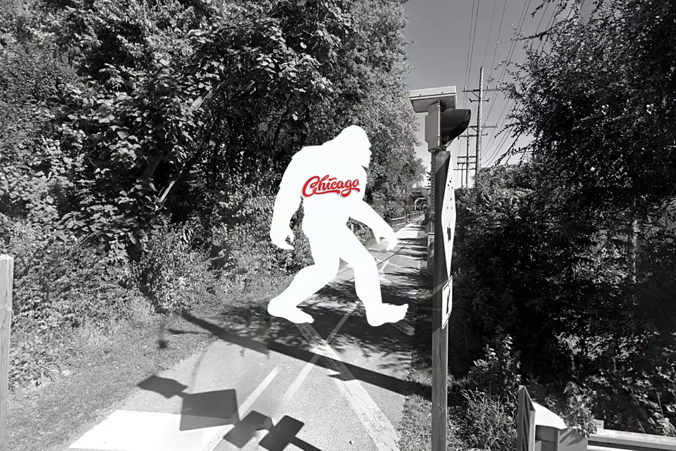 Look Out – Bigfoot Spotted Near This Ditch Near Chicago, Illinois
