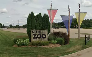 Niabi Zoo Camp Information