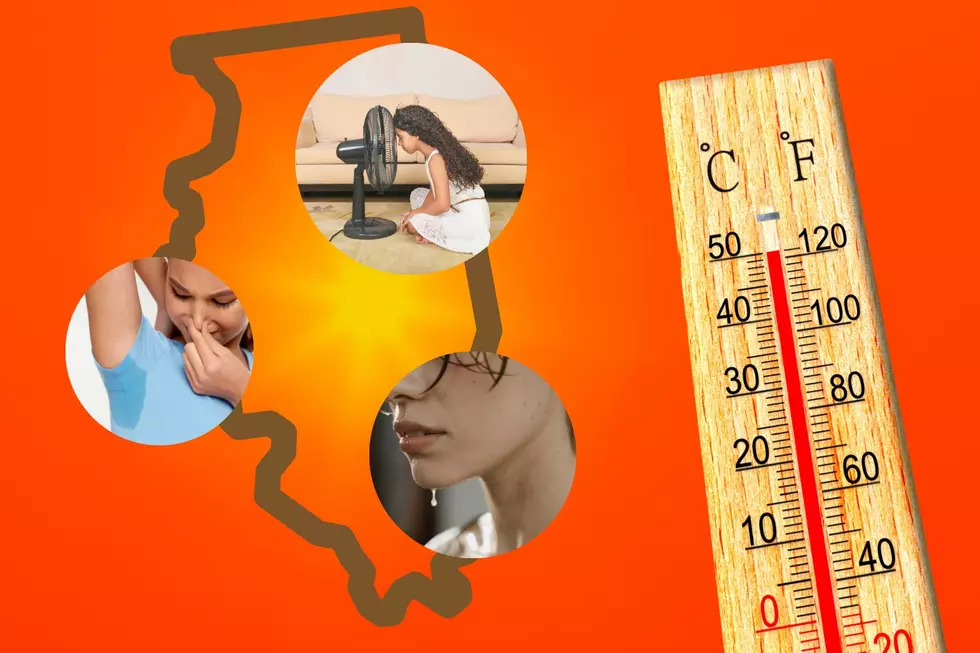 Incredibly Hot and Sweaty Summer Ahead for Illinois, Experts Say